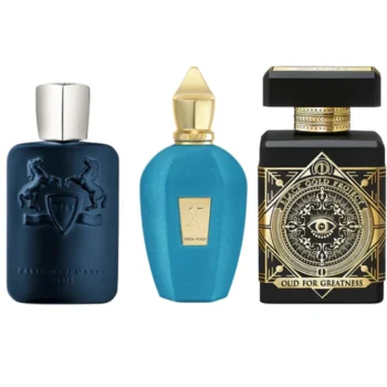 Combo of 3 Fragrances – Oud for Greatness by Initio, Layton by Parfums de Marly, and Erba Pura by Xerjoff [100 ml each]